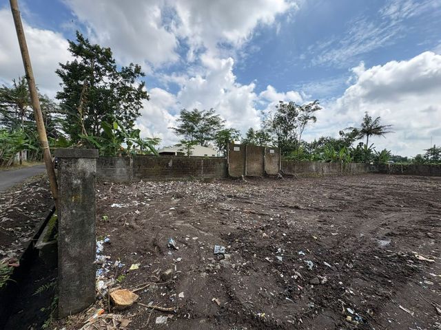 place photo 7