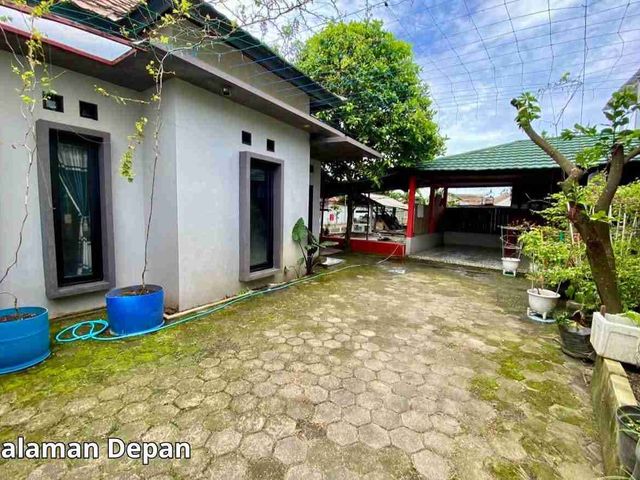 place photo 3