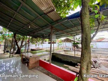 place photo 24
