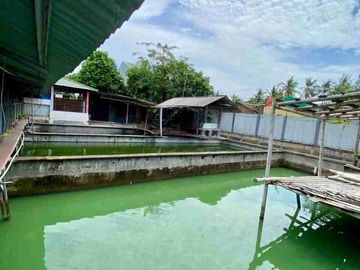 place photo 26