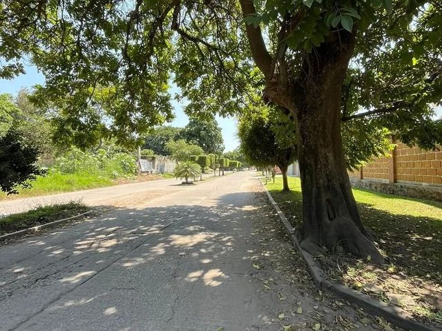 place photo 31