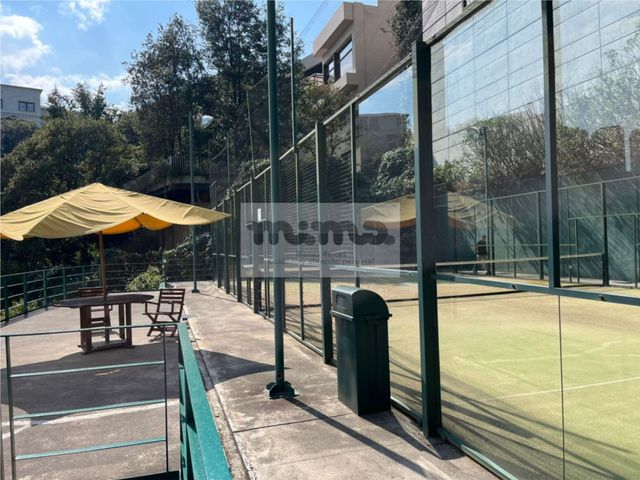 place photo 113