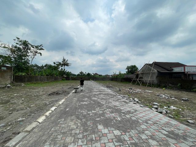 place photo 7