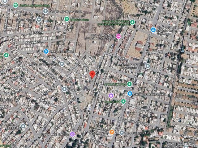 place photo 6