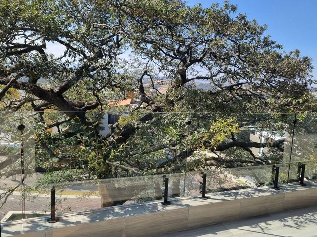 place photo 46