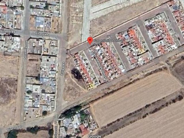 place photo 11