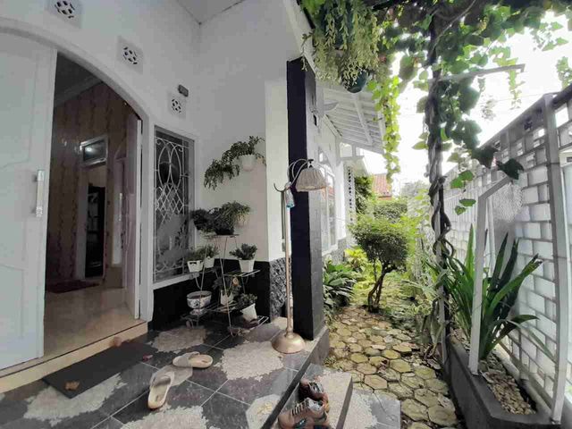 place photo 16