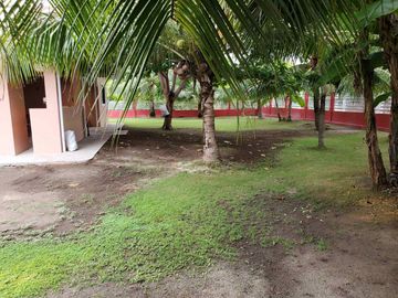 place photo 27