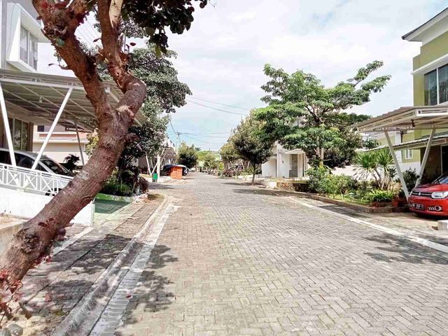 place photo 32