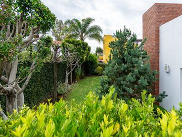 place photo 23