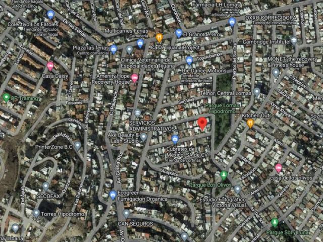 place photo 12