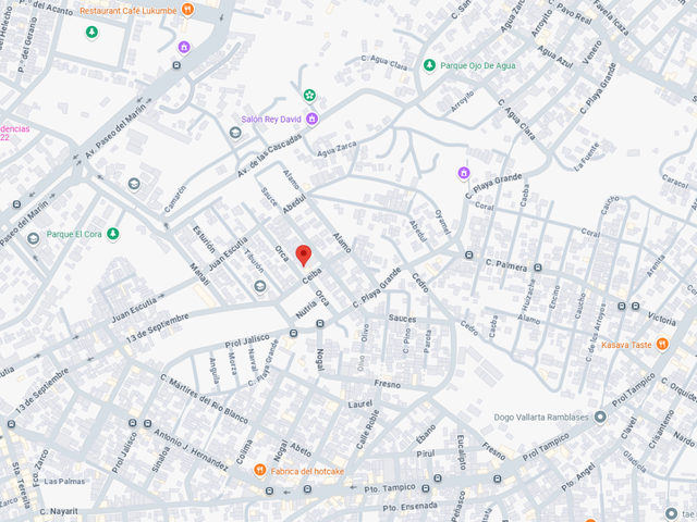 place photo 12