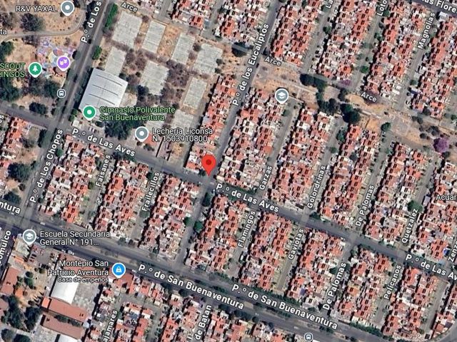 place photo 7