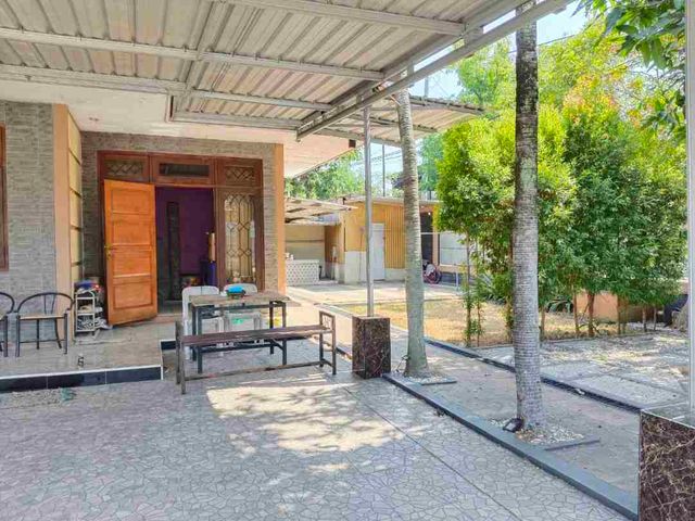 place photo 4