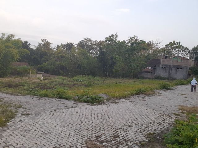 place photo 5