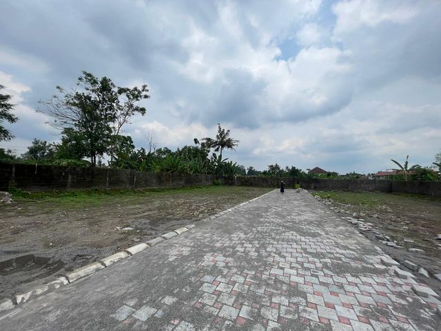 place photo 5