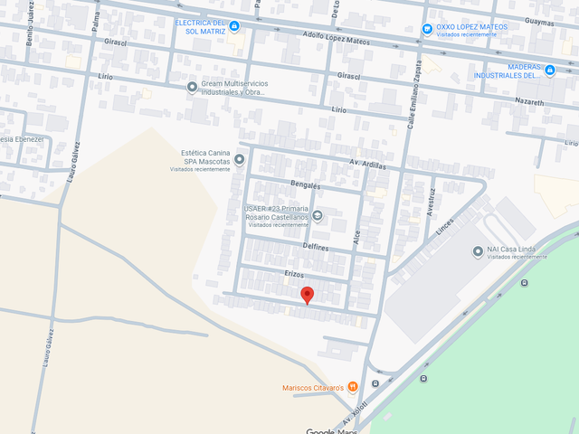 place photo 7