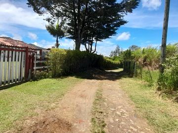 place photo 52