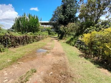 place photo 42
