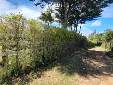 place photo 45