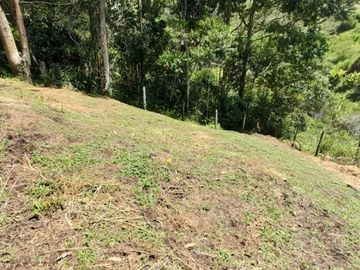 place photo 62