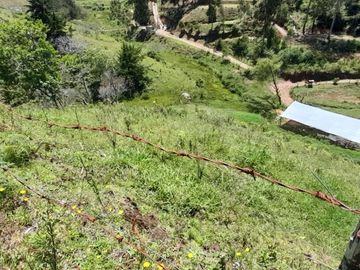 place photo 64
