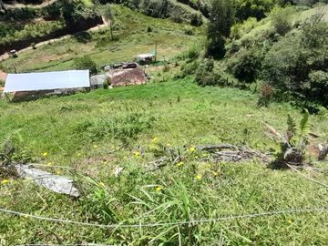 place photo 69