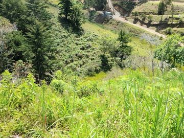 place photo 63