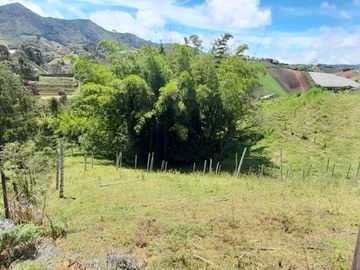 place photo 58