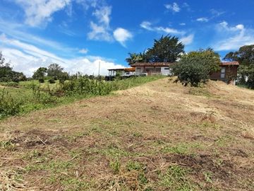 place photo 43