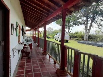 place photo 61