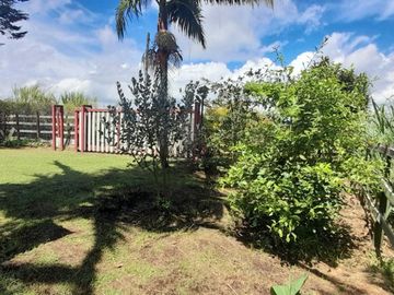place photo 49