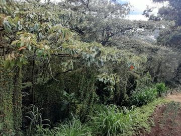 place photo 67
