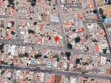 place photo 11