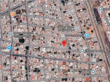 place photo 10