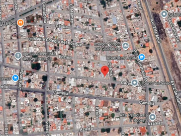place photo 6