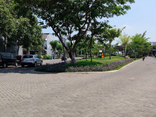 place photo 12