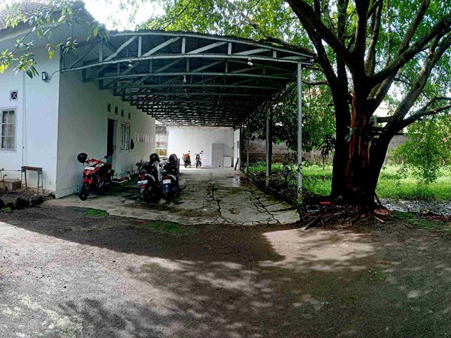 place photo 3