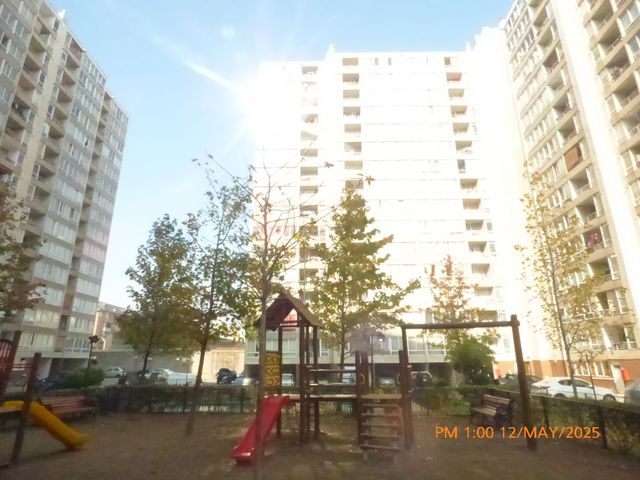 place photo 62