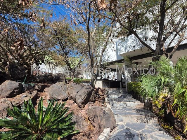 place photo 36