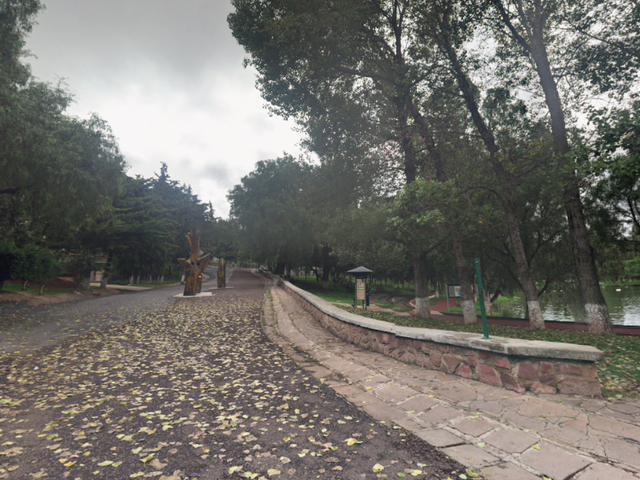 place photo 7
