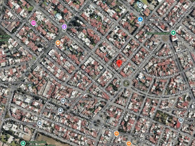 place photo 12