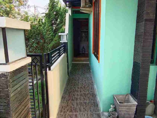 place photo 14
