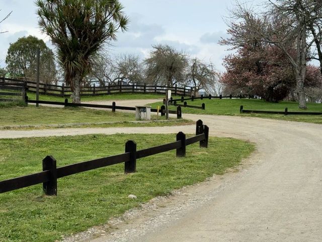 place photo 41
