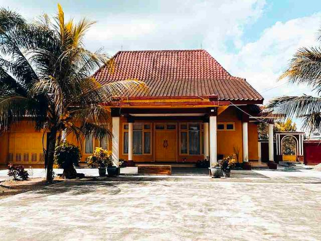 place photo 3