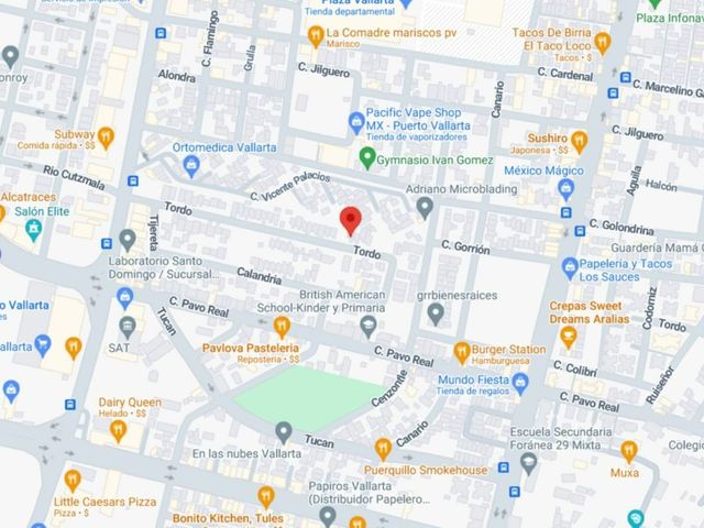 place photo 17