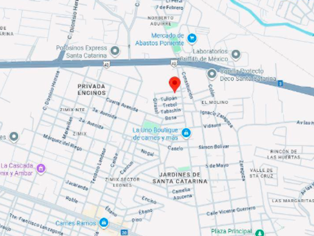 place photo 15