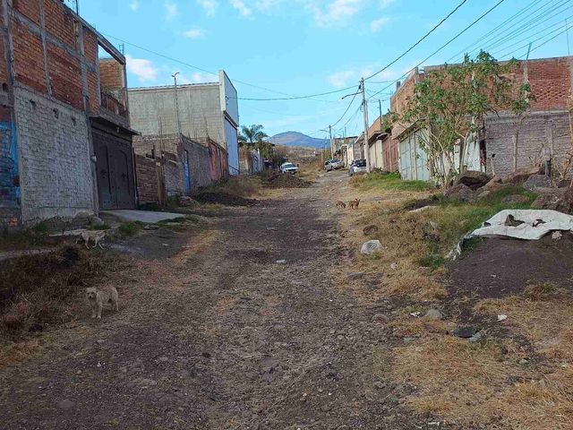 place photo 30