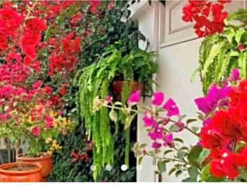 place photo 37