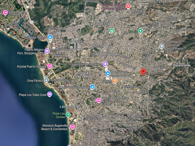 place photo 11